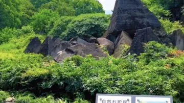 两坝一峡游船+武汉3日2晚私家团 - 武汉包车行程实景图 83