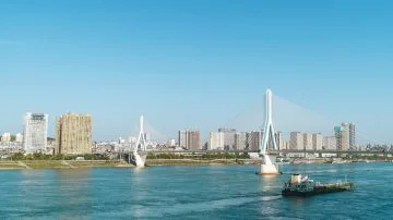 两坝一峡游船+武汉3日2晚私家团 - 武汉包车行程实景图 13
