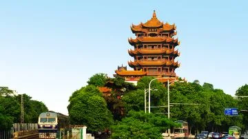 武汉黄鹤楼东湖3日2晚私家团 - 武汉包车行程实景图 27
