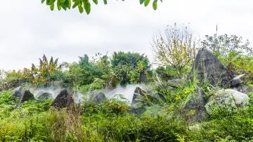 两坝一峡游船+武汉3日2晚私家团 - 武汉包车行程实景图 81