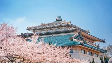 武汉黄鹤楼东湖3日2晚私家团 - 武汉包车行程实景图 08