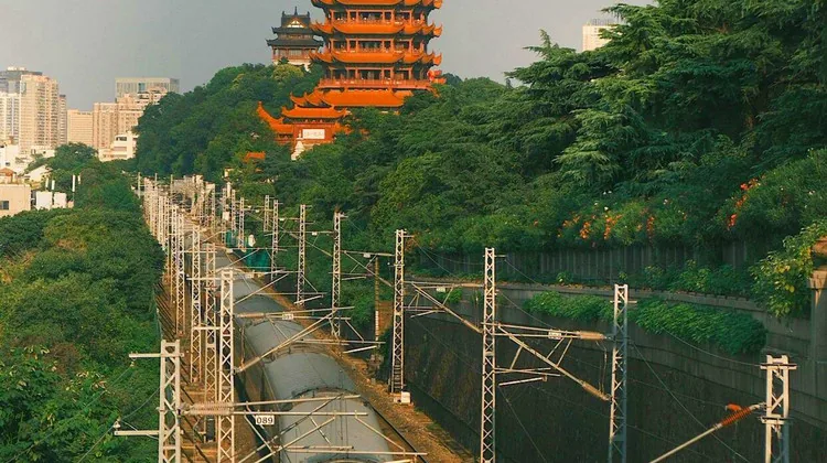 武汉黄鹤楼东湖3日2晚私家团 - 武汉包车行程实景图 03