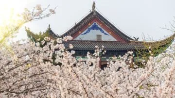 武汉黄鹤楼东湖3日2晚私家团 - 武汉包车行程实景图 10