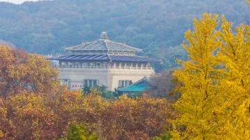 武汉黄鹤楼东湖3日2晚私家团 - 武汉包车行程实景图 09